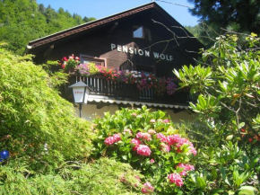 Pension Wolf, Steindorf Am Ossiacher See, Österreich